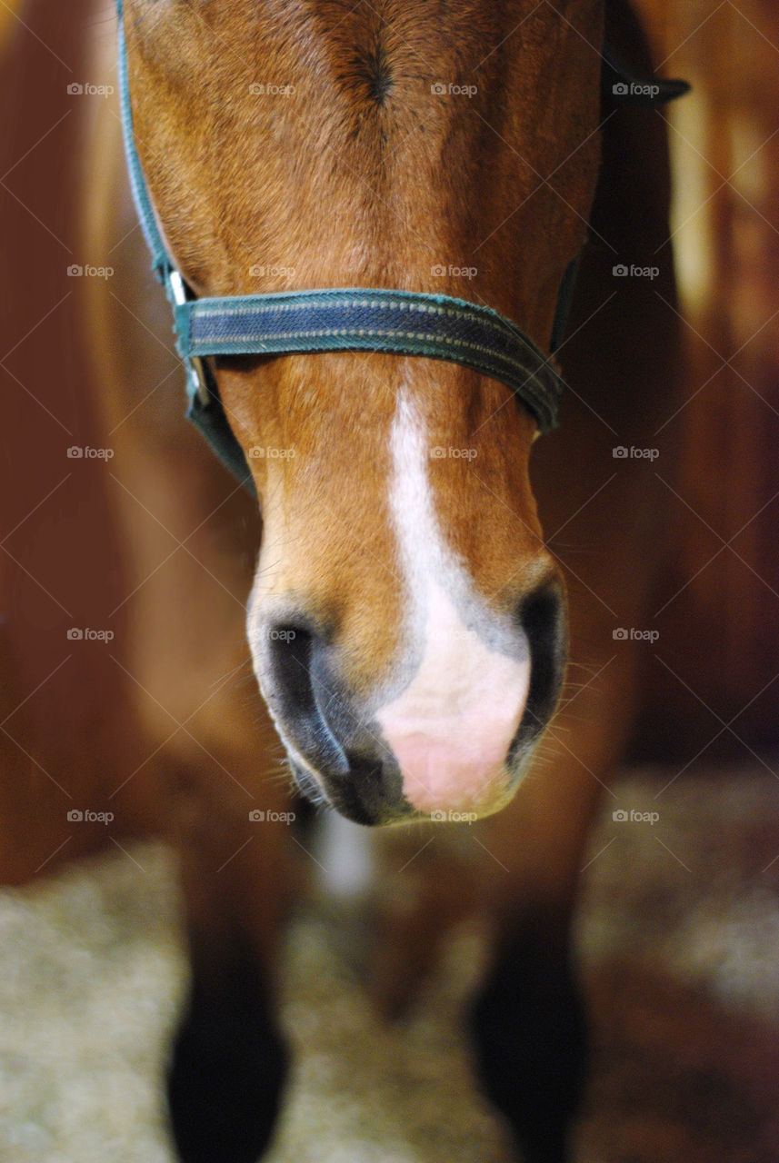 pink blue white black by jag