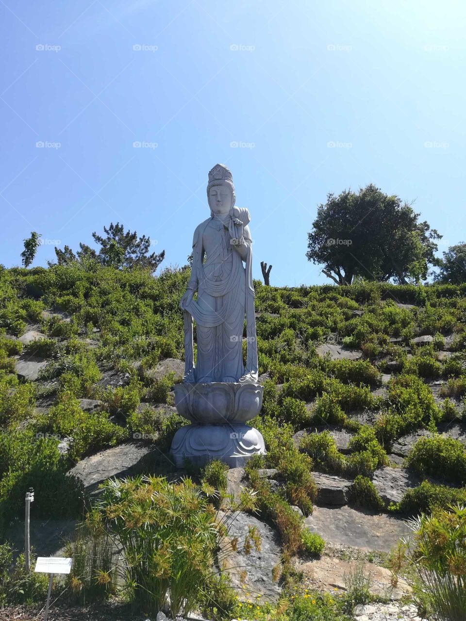 Budha Eden