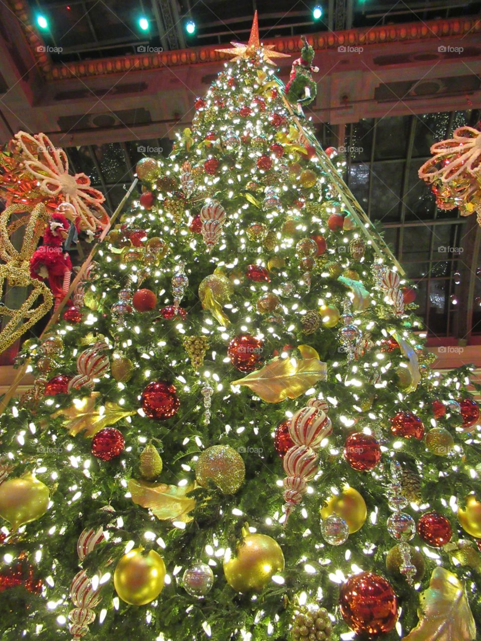 Christmas, Winter, Decoration, Celebration, Tree