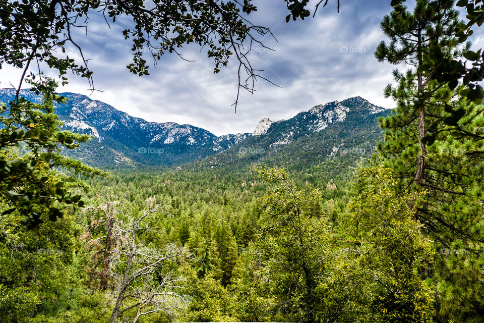 Idyllwild 2