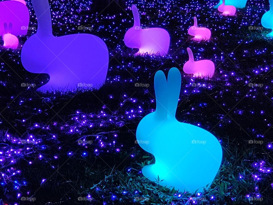 lighting blue rabbits