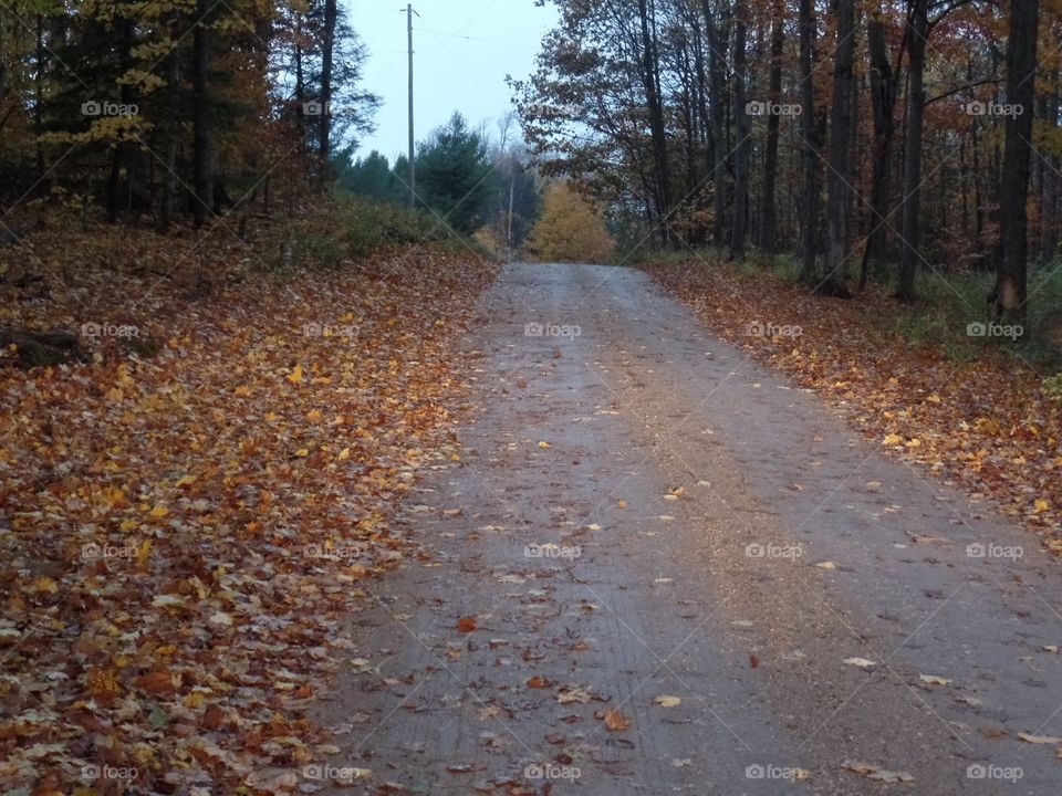 Northern Michigan 