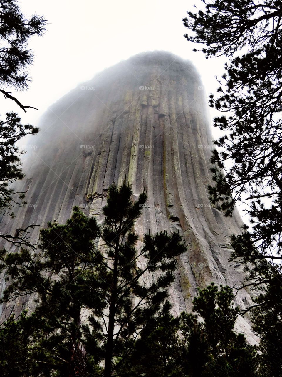 Devil's Tower. The Wyoming landmark, shrouded in morning mists.