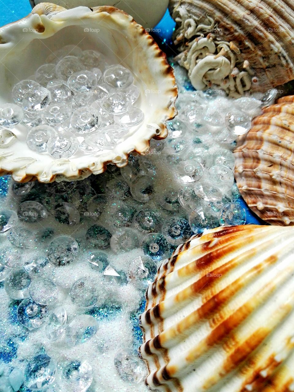 Scallop seashells with crystal beads