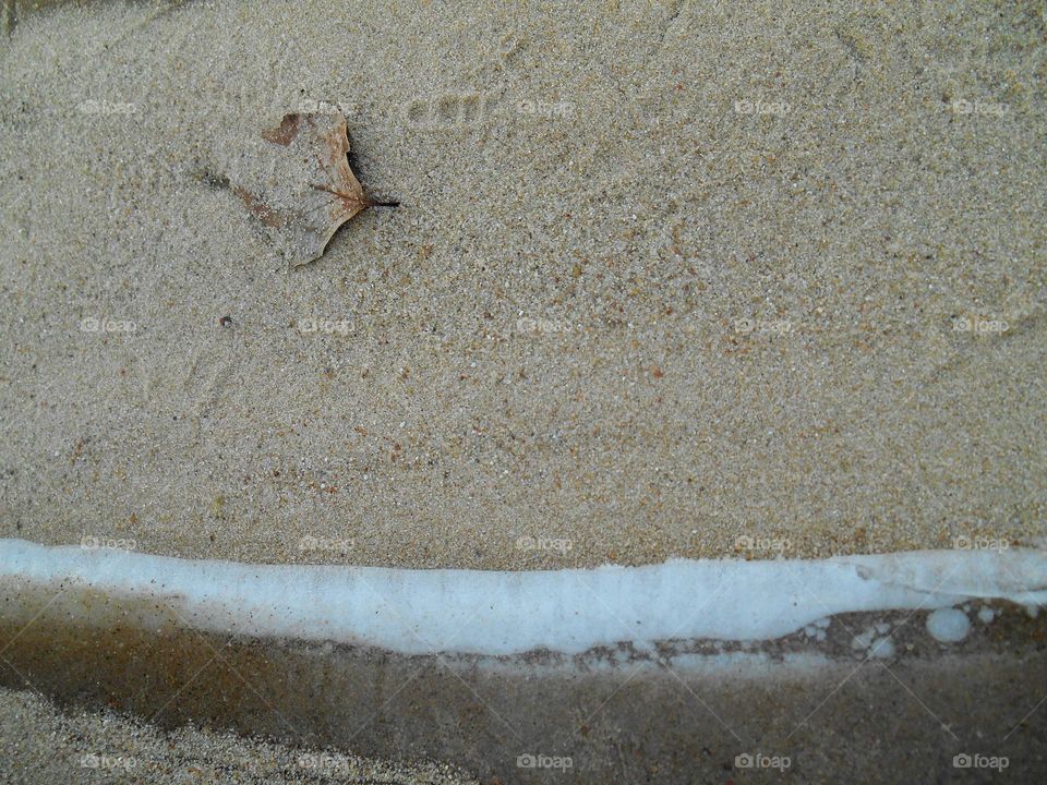 Beach, Sand, Seashore, No Person, Sandy