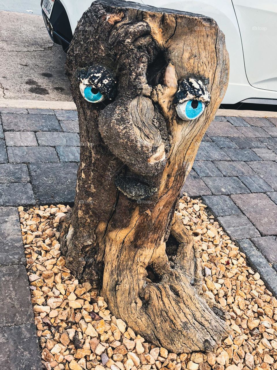lil’ grumpy sidewalk stump