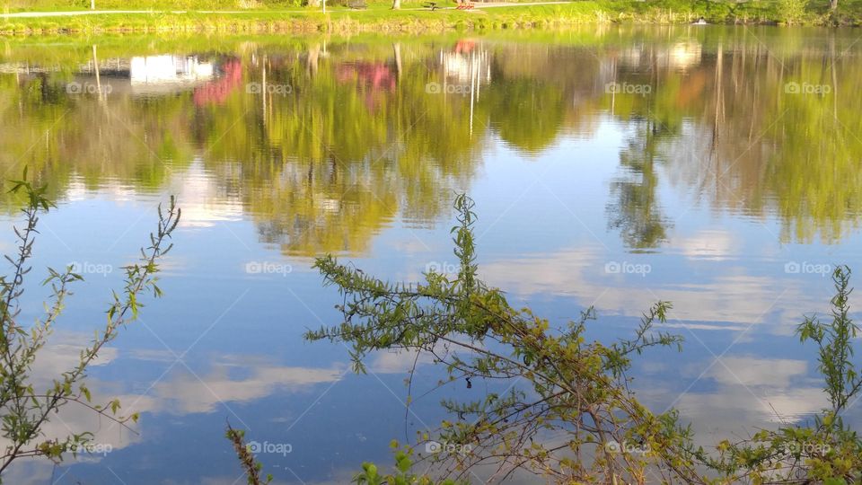 Pond Reflection