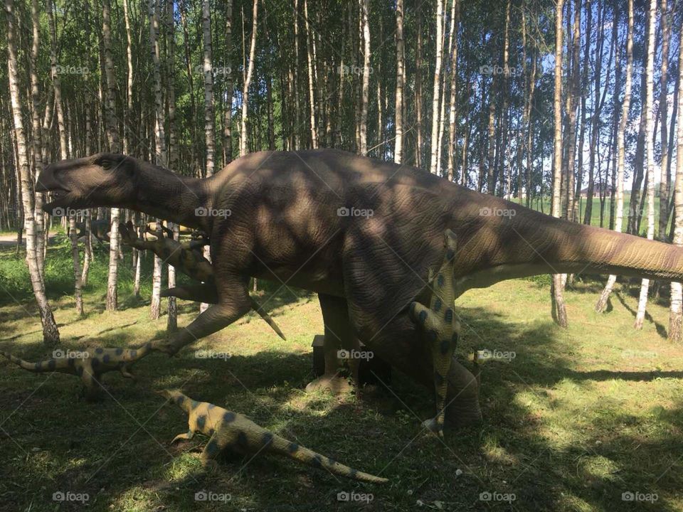 Dino park