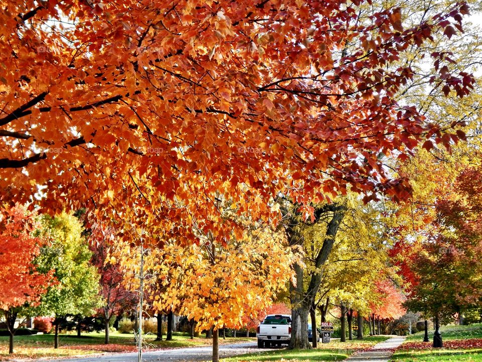 Fall on the neighborhood streets