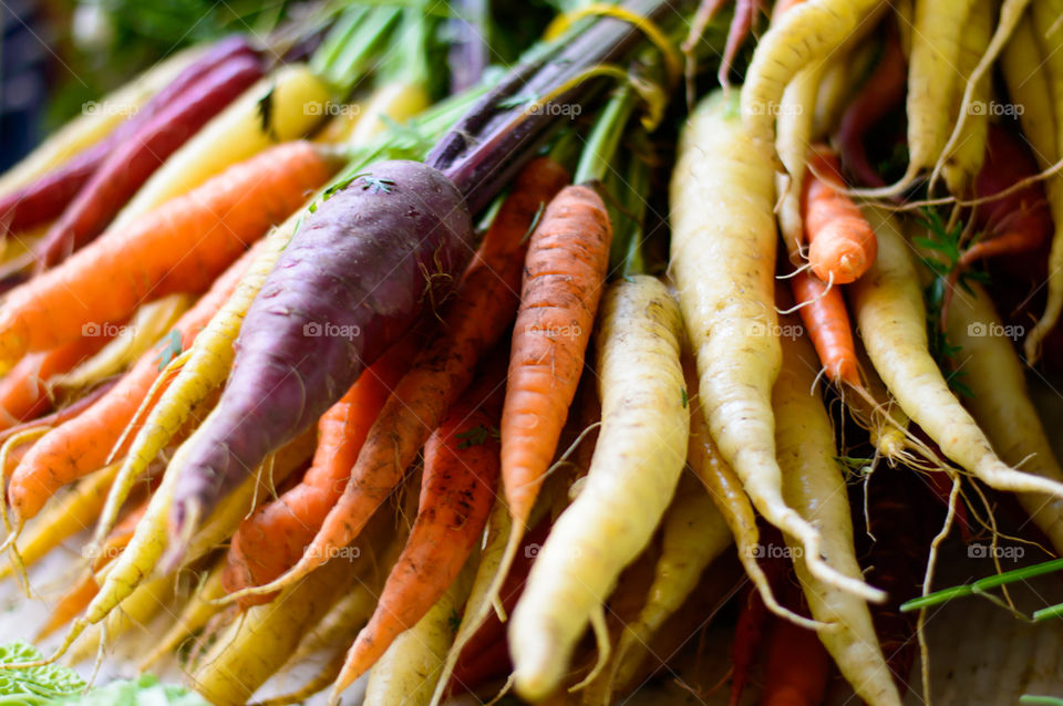 Autumn carrots colorful organic vegetables 