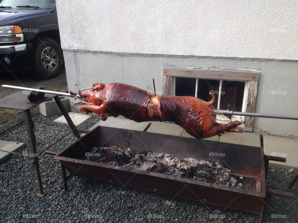 Pig roast 2015