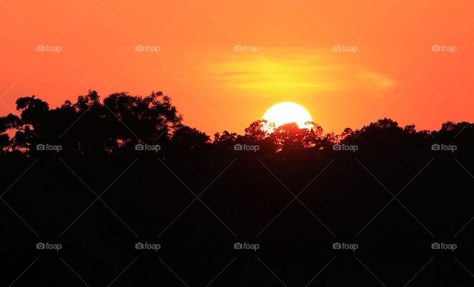 Sunset at golf course!. Sunsets are so orange and red I watch all of them with my bare eyes. It is big party for my brain! 