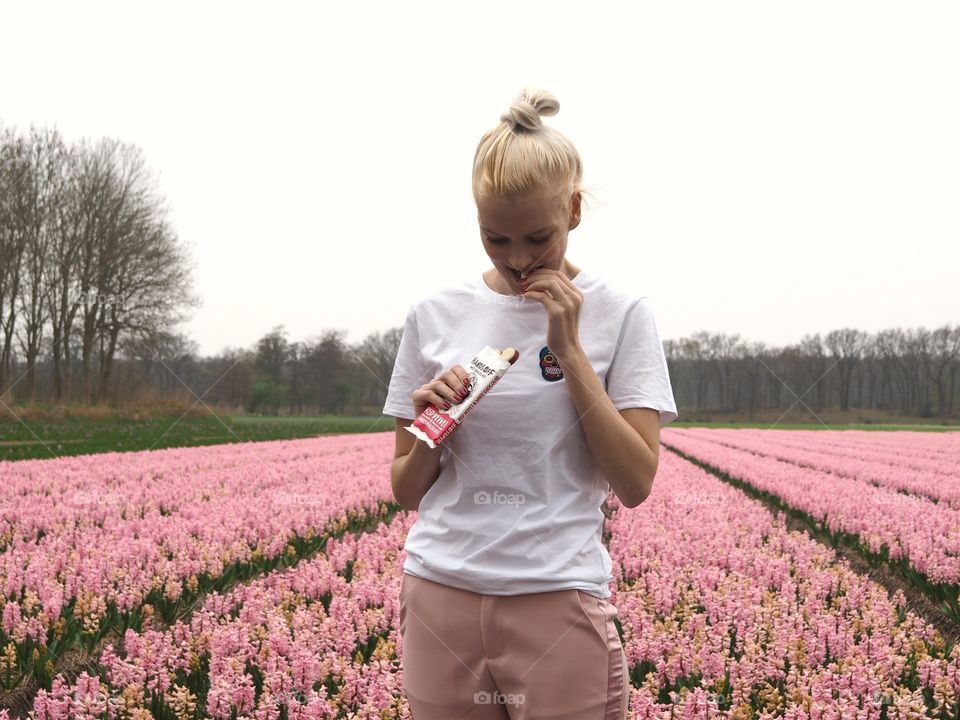 Flower fields 