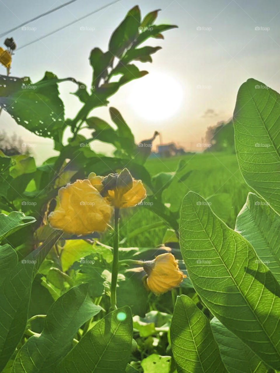 Gardening requires lots of water – most of it in the form of perspiration.