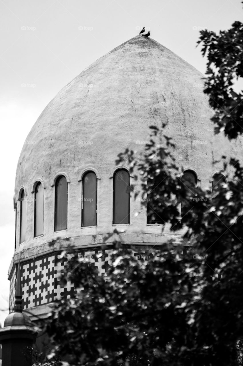 Black and white image of a dome shaped building with birds on the roof