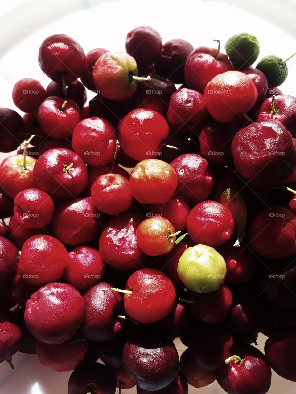 The acerola, azerola, parsnip, cherry-de-barbados or cherry-of-the-Antilles is a shrub of the Malpighiaceae family. The fruit is in a tree called Aceroleira. It originates in the Antilles, Central America and northern South America