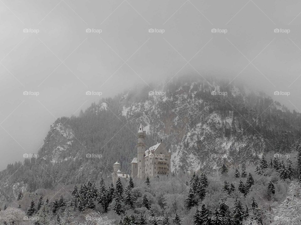 Neuschwanstein Castle in the Distance