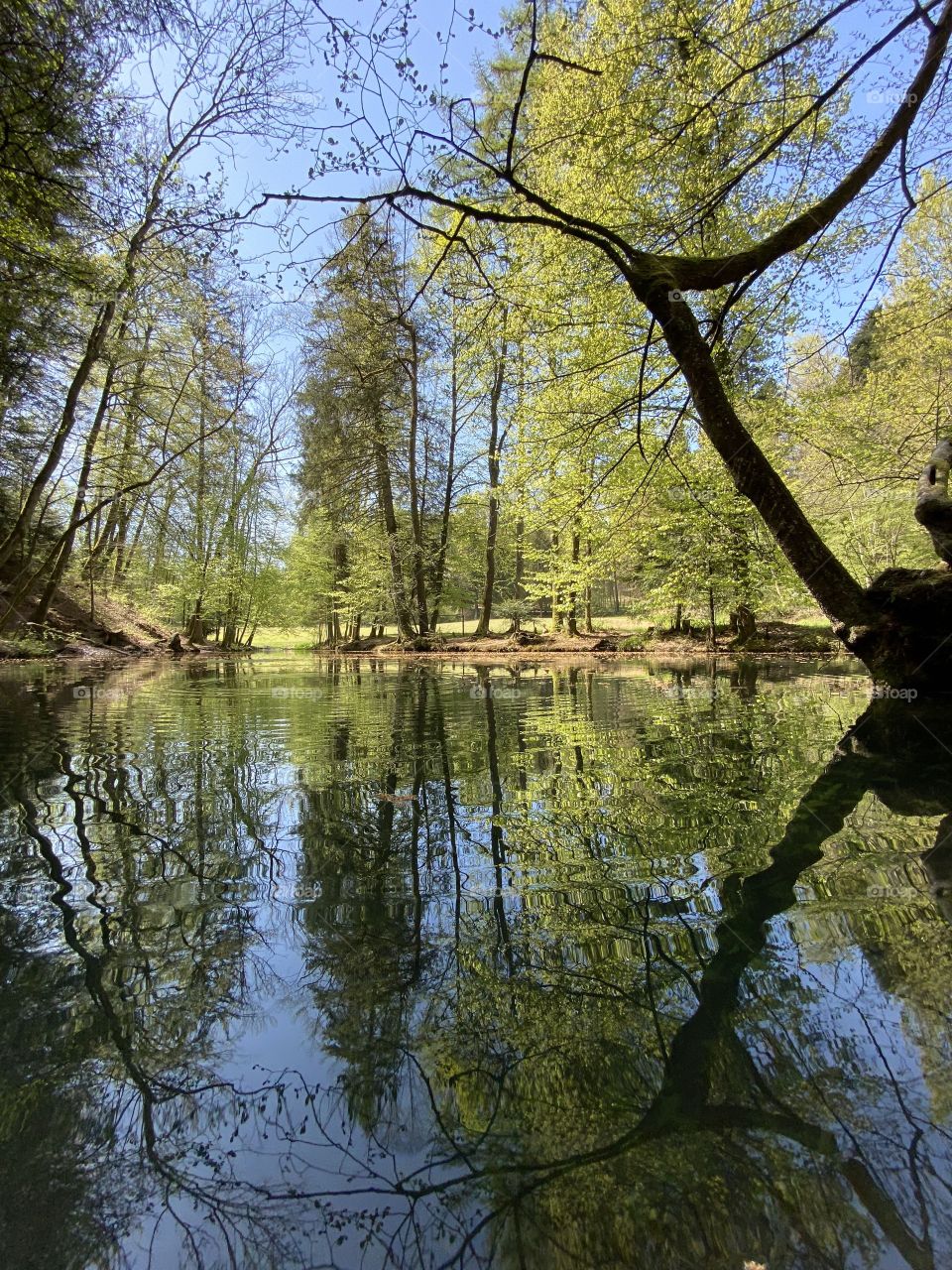 Steibachweiher 