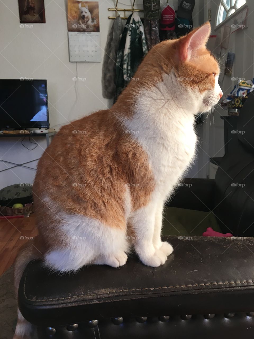 I’m ignoring you because I can...I know you’re fixing to take another picture of me.