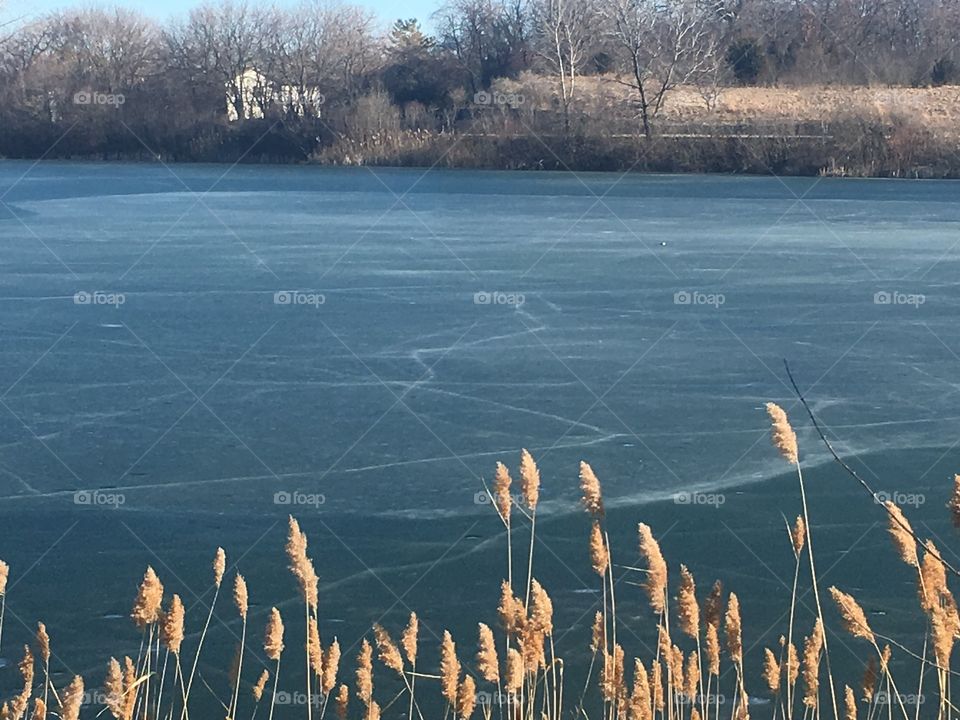 Lightly frozen pond