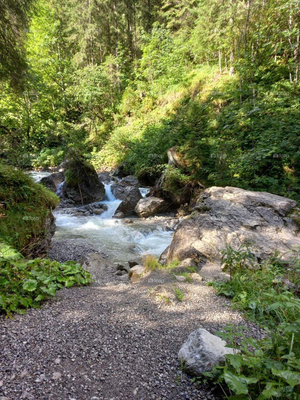 Mountain Stream on Summer Day