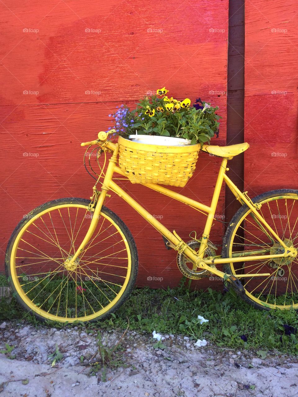 Yellow painted bicycle propped against a red wall