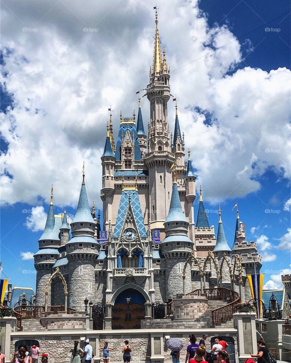 Cinderella’s castle 👸🏼