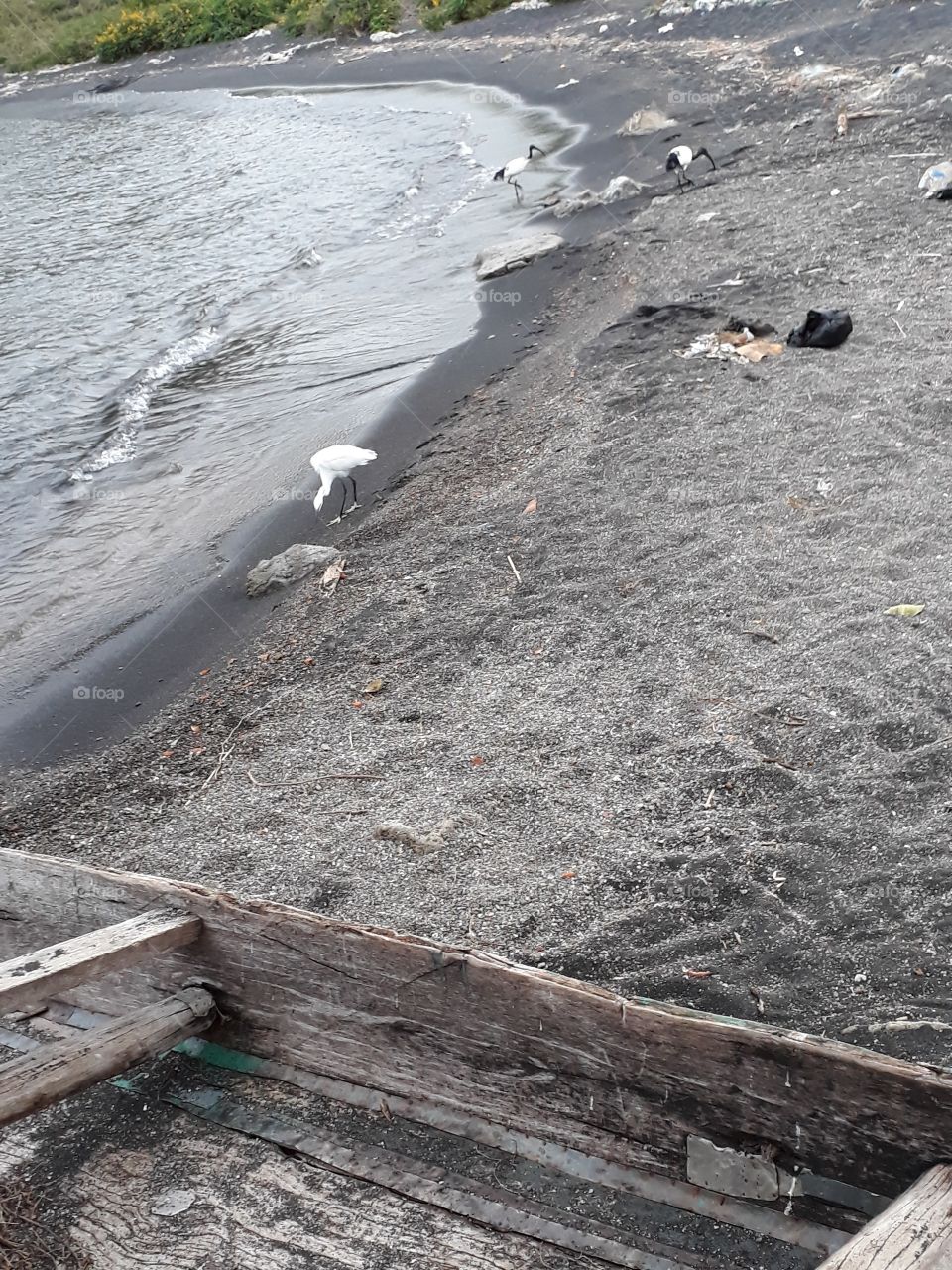 Lake Victoria the 3rd Largest Fresh Water Lake in the World