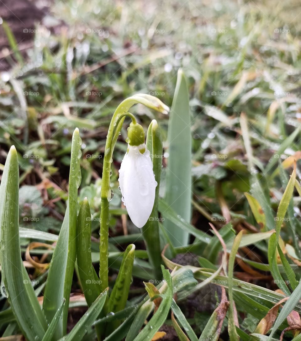 The beauty in nature