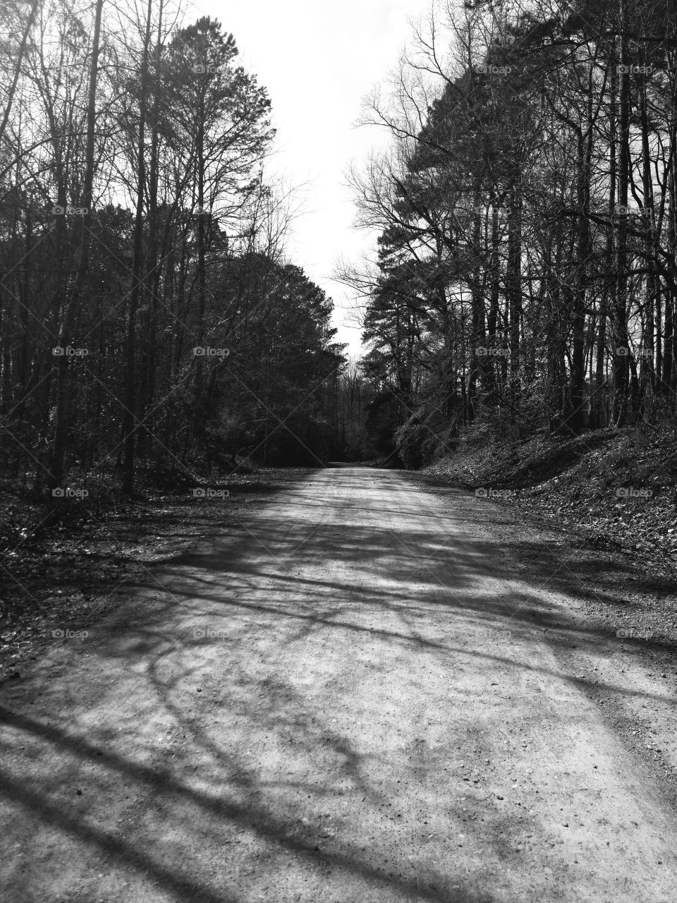 The Long Road home. Black and White