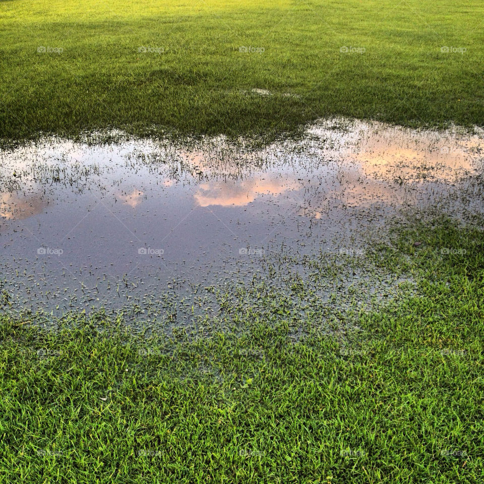 grass clouds reflection by ianbeattie