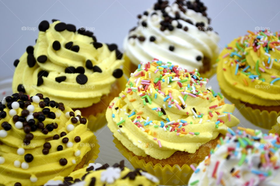 Crazy Cupcakes