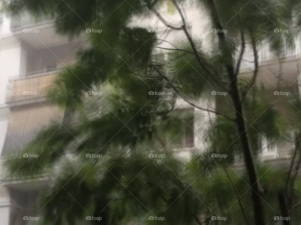 Rain