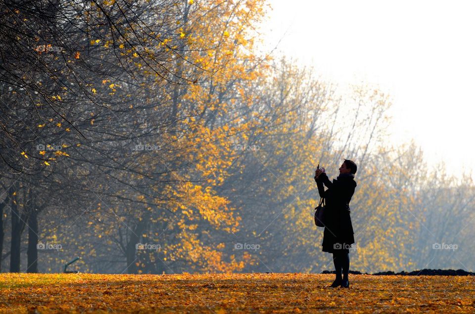 In the autumn park