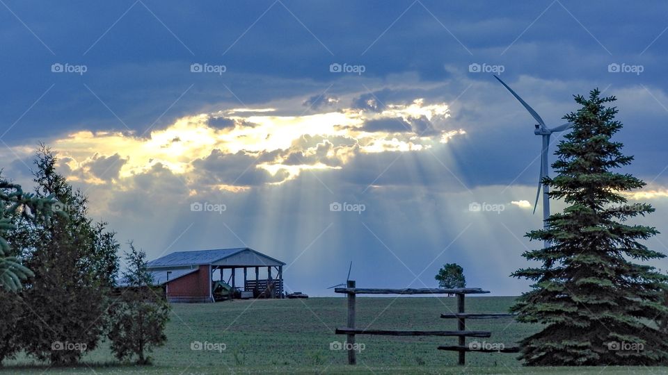 Sunbeams Selkirk Ontario
