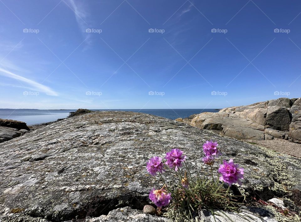 Spring on the coast