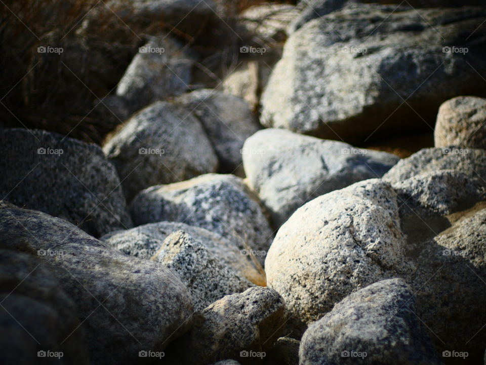 Dry Creek Bed