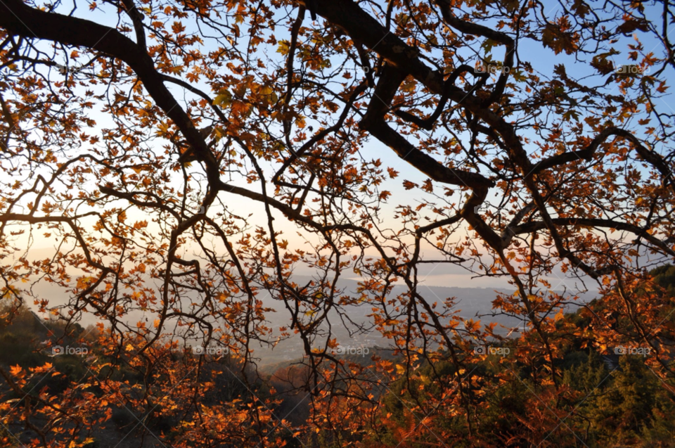mountain autumn brown view by jimmykane