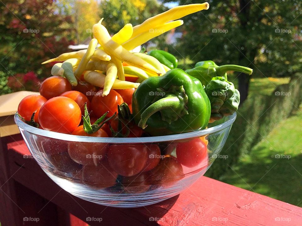 Harvest time