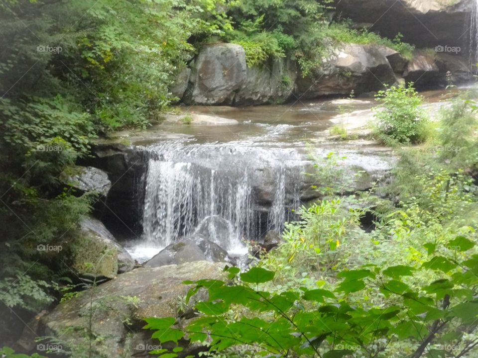 Waterfall at Fallingwater