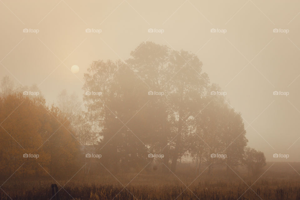 Autumn misty landscape at early morning 