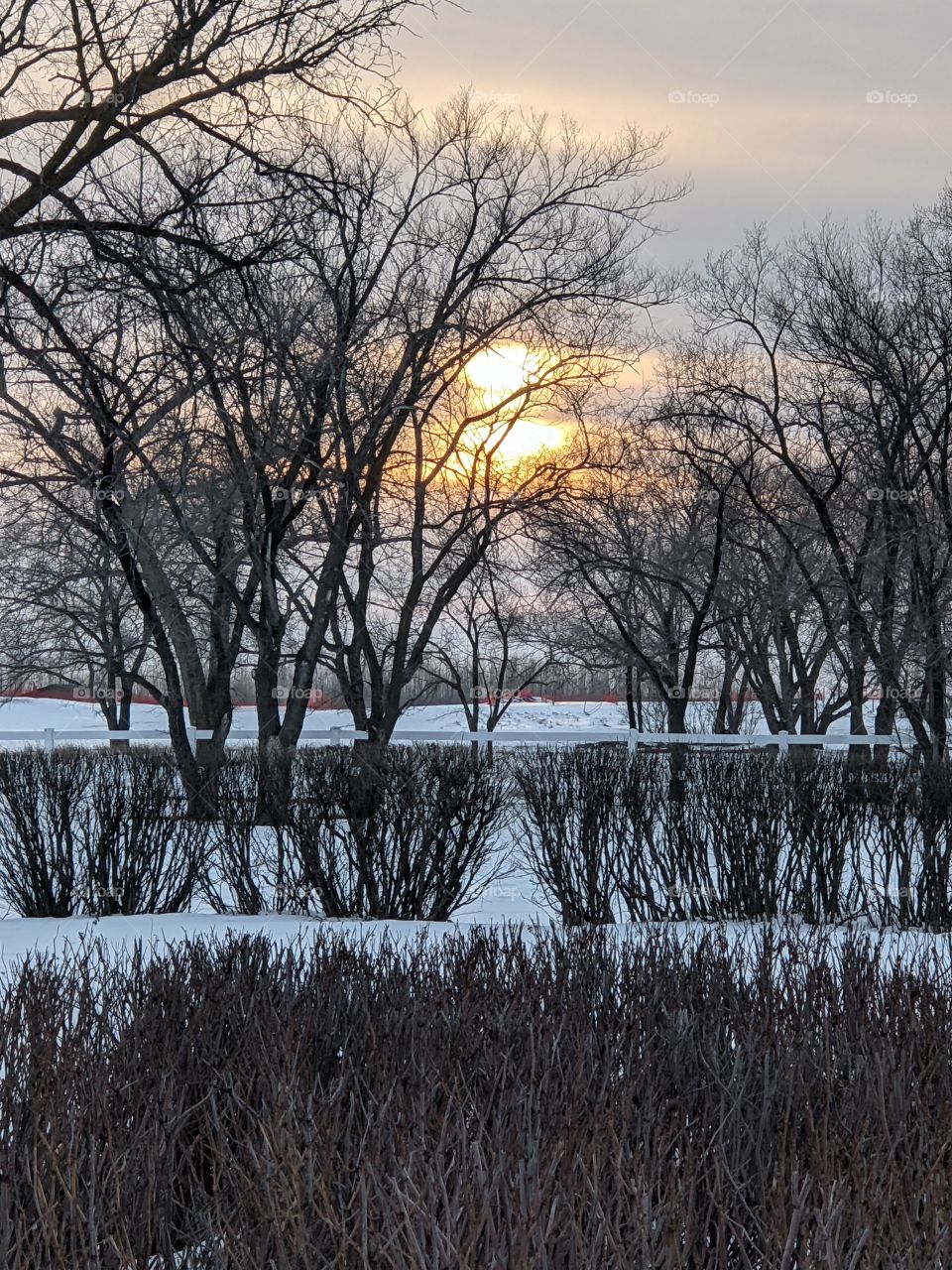 Winter sunset