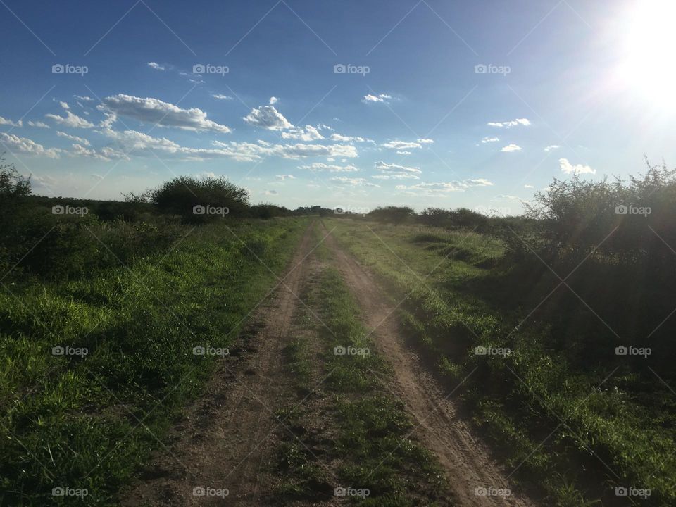 Road trip on a farm