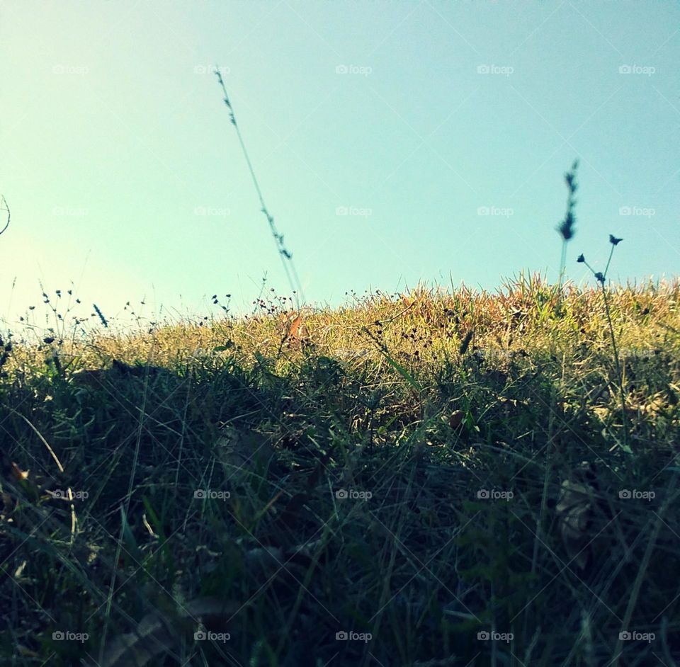 Verão intenso que virá.