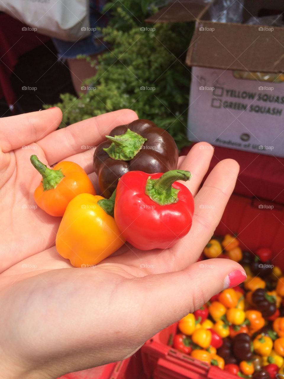The smallest peppers I've ever seen at a farmers market in Burlington VT