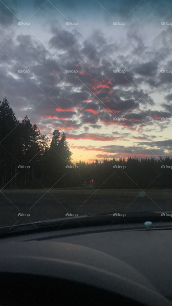 Cotton candy PNW summer sky