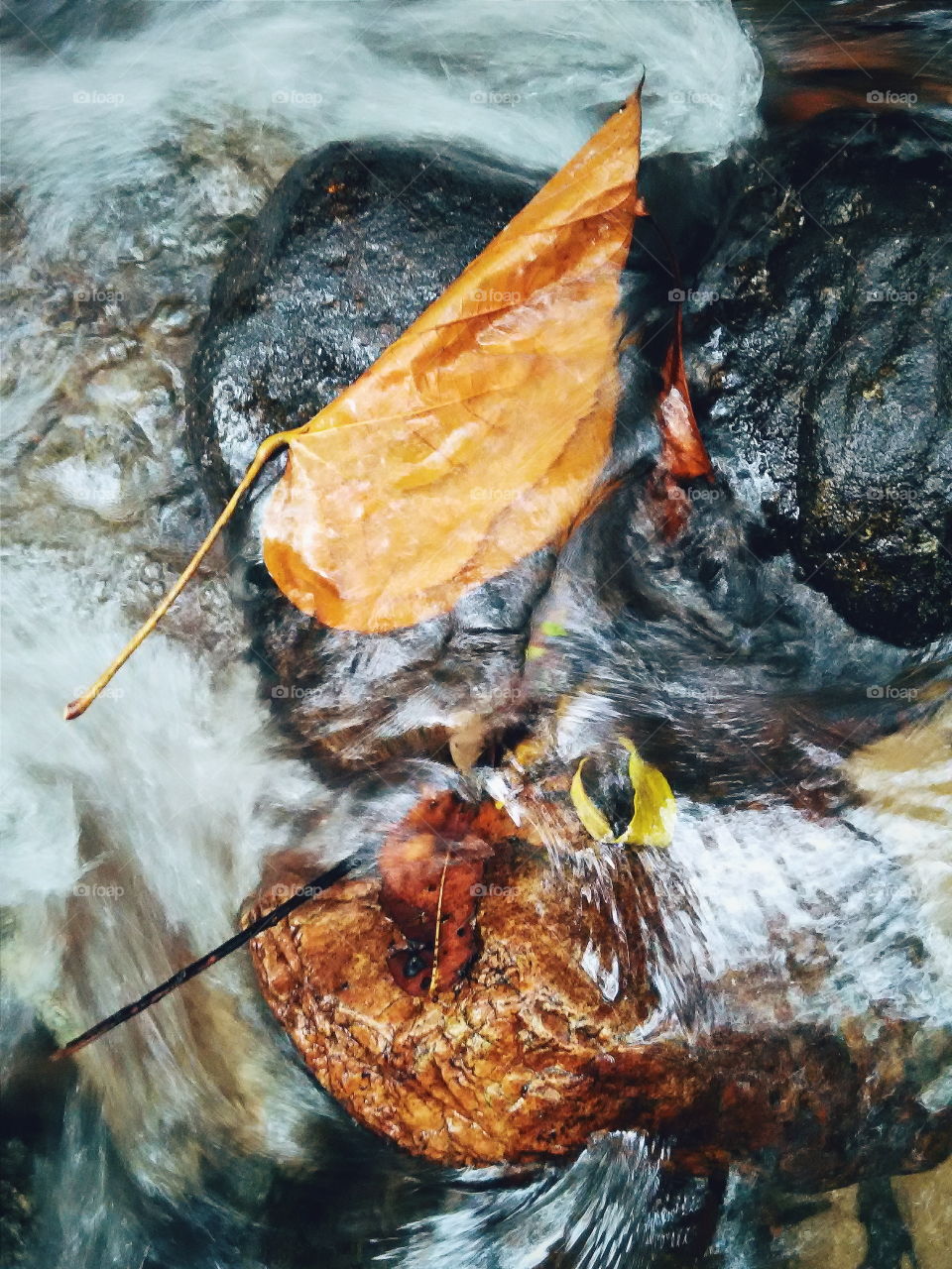 waterfall. Leaves stuck at the stones in a river