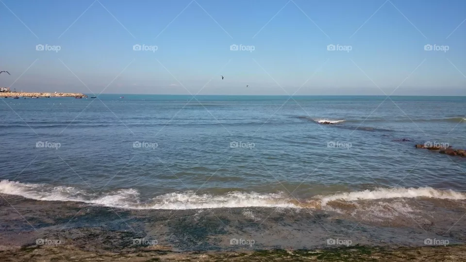 blue and wave