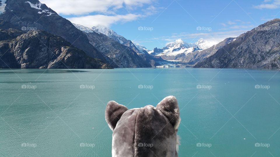 Wolf Husky faux fur hat on head looking out to beautiful glacier mountains and ocean view from cruise ship travelling in Alaska