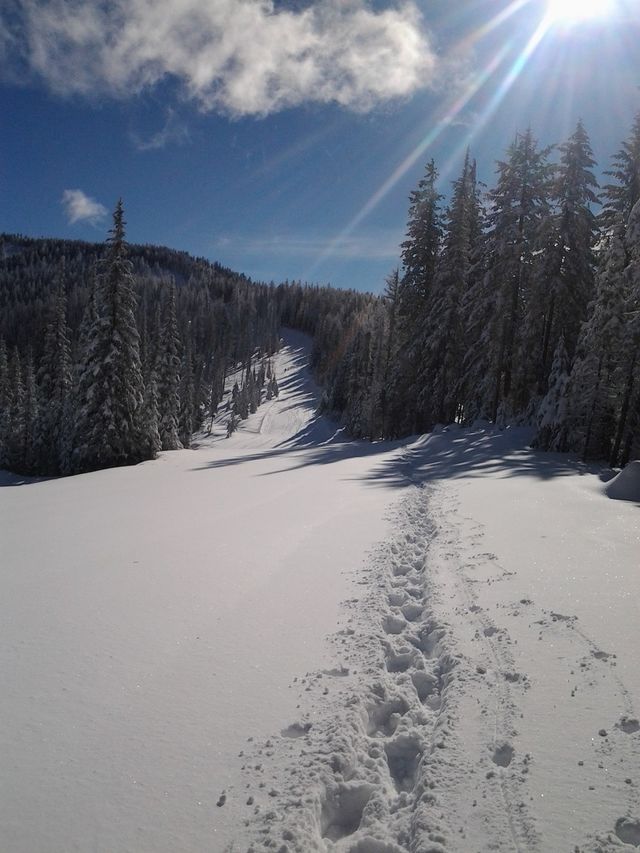 winter